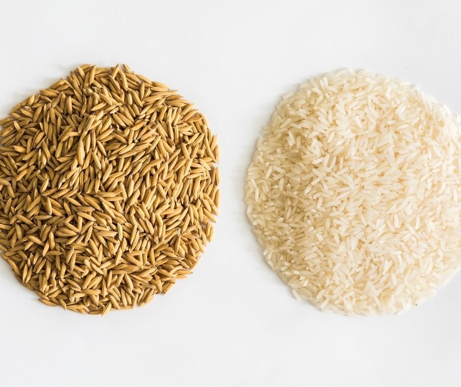 White rice vs Brown rice